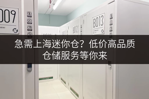急需上海迷你仓？低价高品质仓储服务等你来