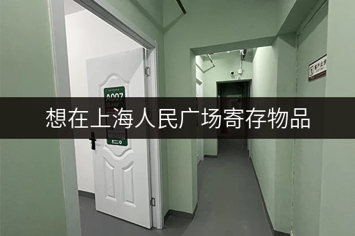 想在上海人民广场寄存物品，有哪些地方可以去？