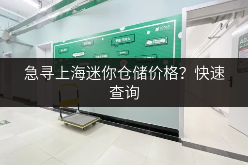 急寻上海迷你仓储价格？快速查询，帮你省钱！