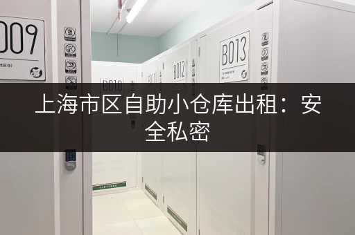 上海市区自助小仓库出租：安全私密，租期灵活，省心省力