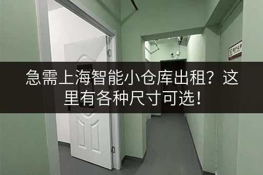 急需上海智能小仓库出租？这里有各种尺寸可选！