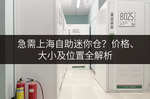 急需上海自助迷你仓？价格、大小及位置全解析