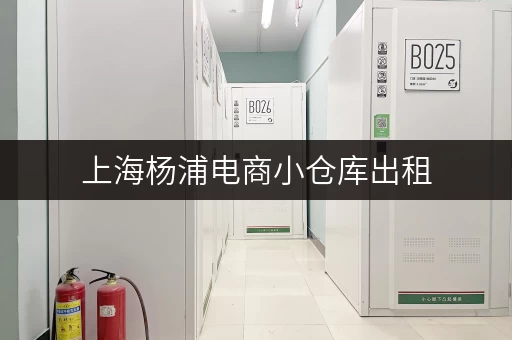 上海杨浦电商小仓库出租，满足你各种仓储需求