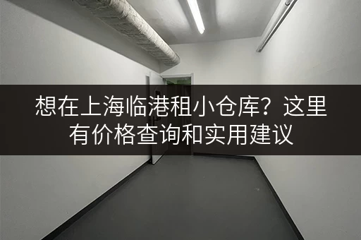 想在上海临港租小仓库？这里有价格查询和实用建议