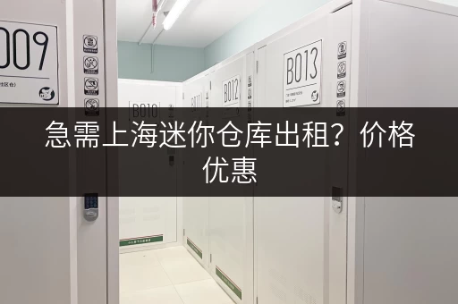 急需上海迷你仓库出租？价格优惠，多种面积选择，立即咨询！