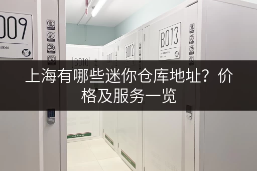 上海有哪些迷你仓库地址？价格及服务一览