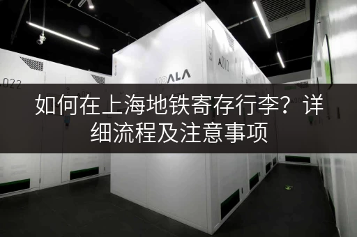 如何在上海地铁寄存行李？详细流程及注意事项