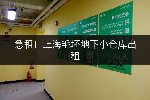 急租！上海毛坯地下小仓库出租，近地铁，交通便利