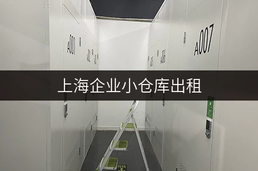 上海企业小仓库出租，安全便捷低价租赁