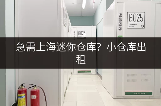 急需上海迷你仓库？小仓库出租，多种选择任你挑