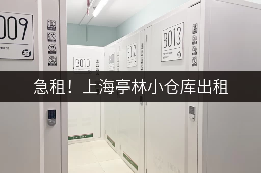 急租！上海亭林小仓库出租，多种面积可选