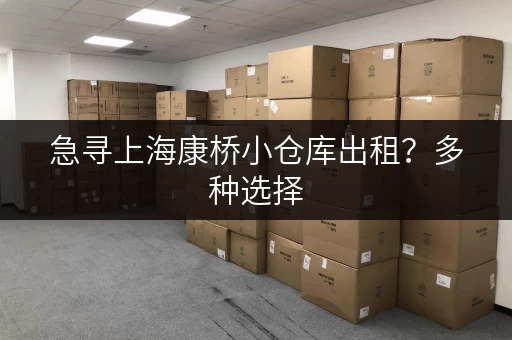 急寻上海康桥小仓库出租？多种选择，总有一款适合你