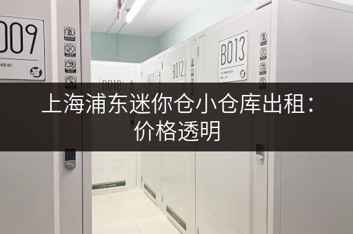 上海浦东迷你仓小仓库出租：价格透明，空间灵活！