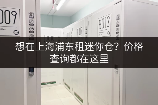 想在上海浦东租迷你仓？价格查询都在这里