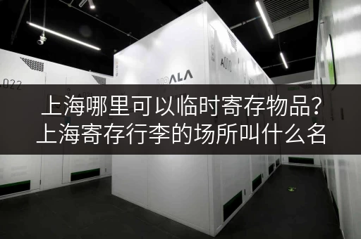 上海哪里可以临时寄存物品？上海寄存行李的场所叫什么名字？