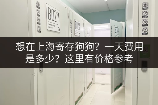 想在上海寄存狗狗？一天费用是多少？这里有价格参考