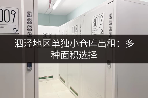 泗泾地区单独小仓库出租：多种面积选择，满足您的需求