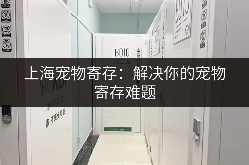 上海宠物寄存：解决你的宠物寄存难题，上海寄存行李猫！