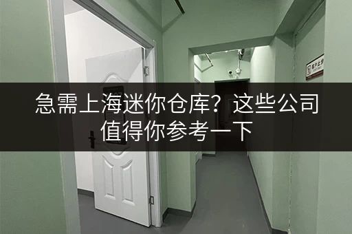 急需上海迷你仓库？这些公司值得你参考一下