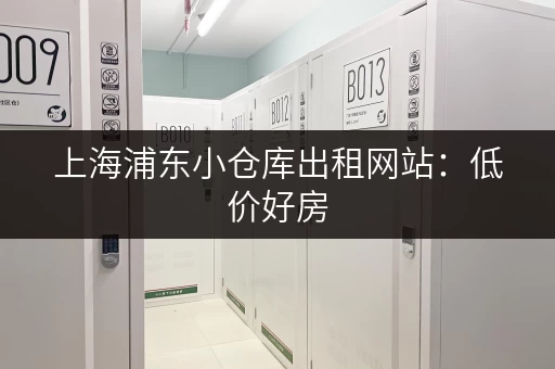 上海浦东小仓库出租网站：低价好房，立即寻觅！