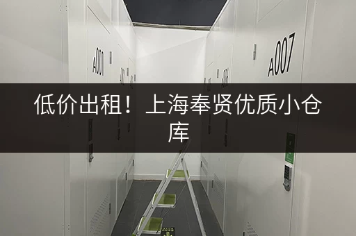 低价出租！上海奉贤优质小仓库，欢迎咨询