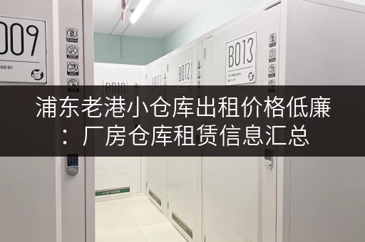 浦东老港小仓库出租价格低廉：厂房仓库租赁信息汇总