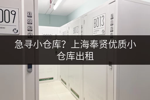 急寻小仓库？上海奉贤优质小仓库出租，火热招租！