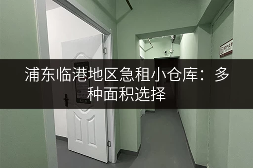 浦东临港地区急租小仓库：多种面积选择，满足您的需求