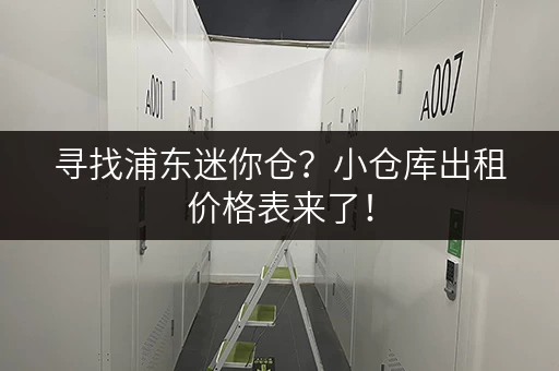 寻找浦东迷你仓？小仓库出租价格表来了！