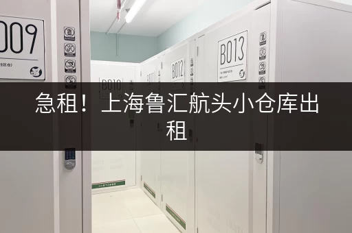 急租!上海鲁汇航头小仓库出租,价格面议,位置优越 急租!上海鲁汇航头小仓库出租,价格面议,位置优越