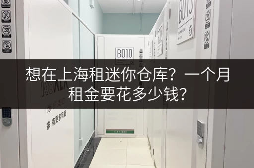 想在上海租迷你仓库？一个月租金要花多少钱？