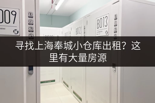 寻找上海奉城小仓库出租？这里有大量房源