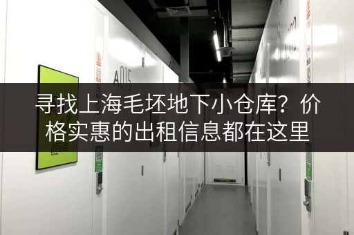 寻找上海毛坯地下小仓库？价格实惠的出租信息都在这里