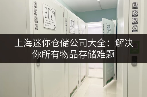 上海迷你仓储公司大全：解决你所有物品存储难题