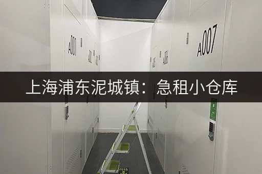 上海浦东泥城镇：急租小仓库，价格优惠，位置优越！