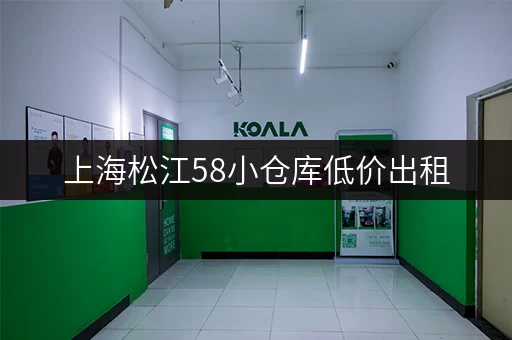 上海松江58小仓库低价出租，适合各种需求