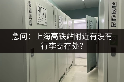 急问：上海高铁站附近有没有行李寄存处？