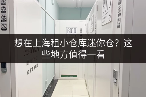 想在上海租小仓库迷你仓？这些地方值得一看