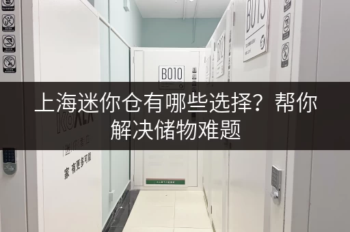 上海迷你仓有哪些选择？帮你解决储物难题
