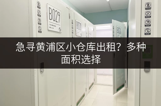 急寻黄浦区小仓库出租？多种面积选择，满足您的需求