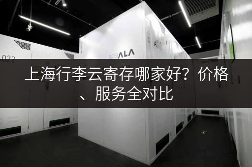 上海行李云寄存哪家好？价格、服务全对比