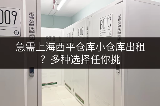 急需上海西平仓库小仓库出租？多种选择任你挑