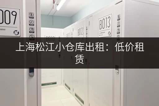 上海松江小仓库出租：低价租赁，优质服务