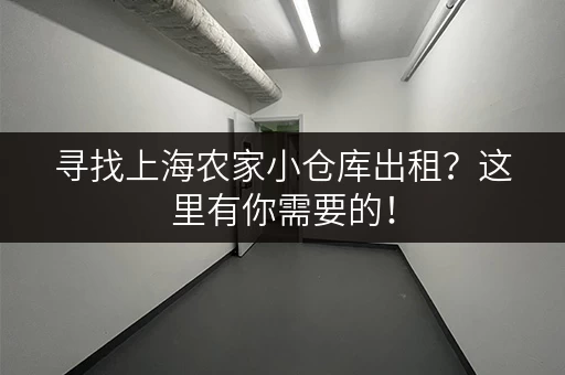 寻找上海农家小仓库出租？这里有你需要的！