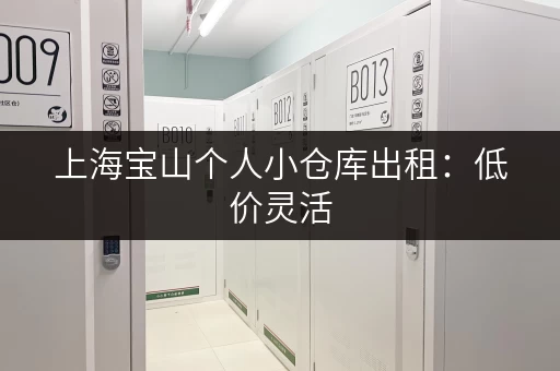 上海宝山个人小仓库出租：低价灵活，适合创业者