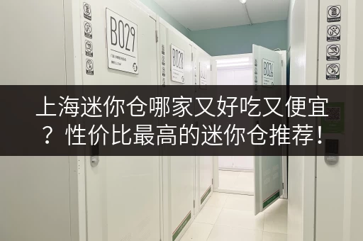 上海迷你仓哪家又好吃又便宜？性价比最高的迷你仓推荐！
