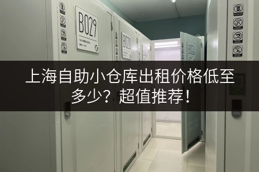 上海自助小仓库出租价格低至多少？超值推荐！