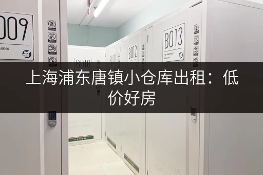 上海浦东唐镇小仓库出租：低价好房，火热招租