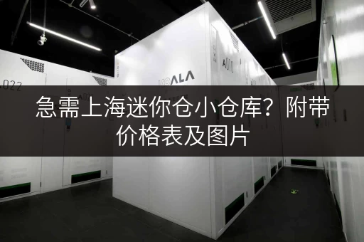 急需上海迷你仓小仓库？附带价格表及图片，快速解决你的存储难题