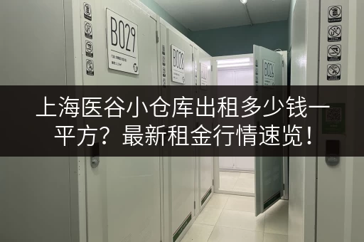 上海医谷小仓库出租多少钱一平方？最新租金行情速览！